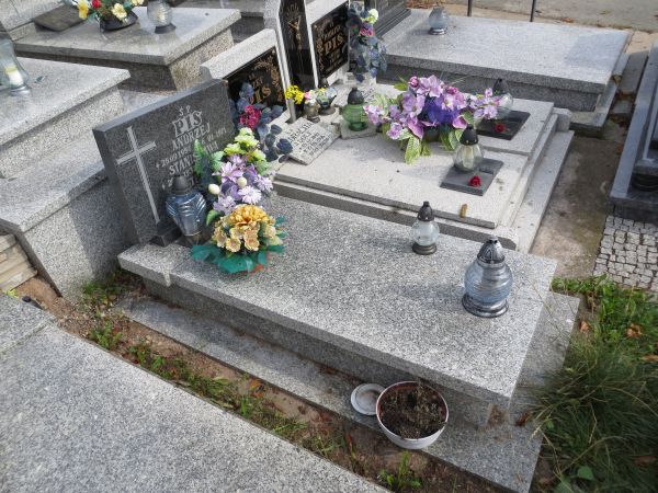 Grób Stanisława Pis