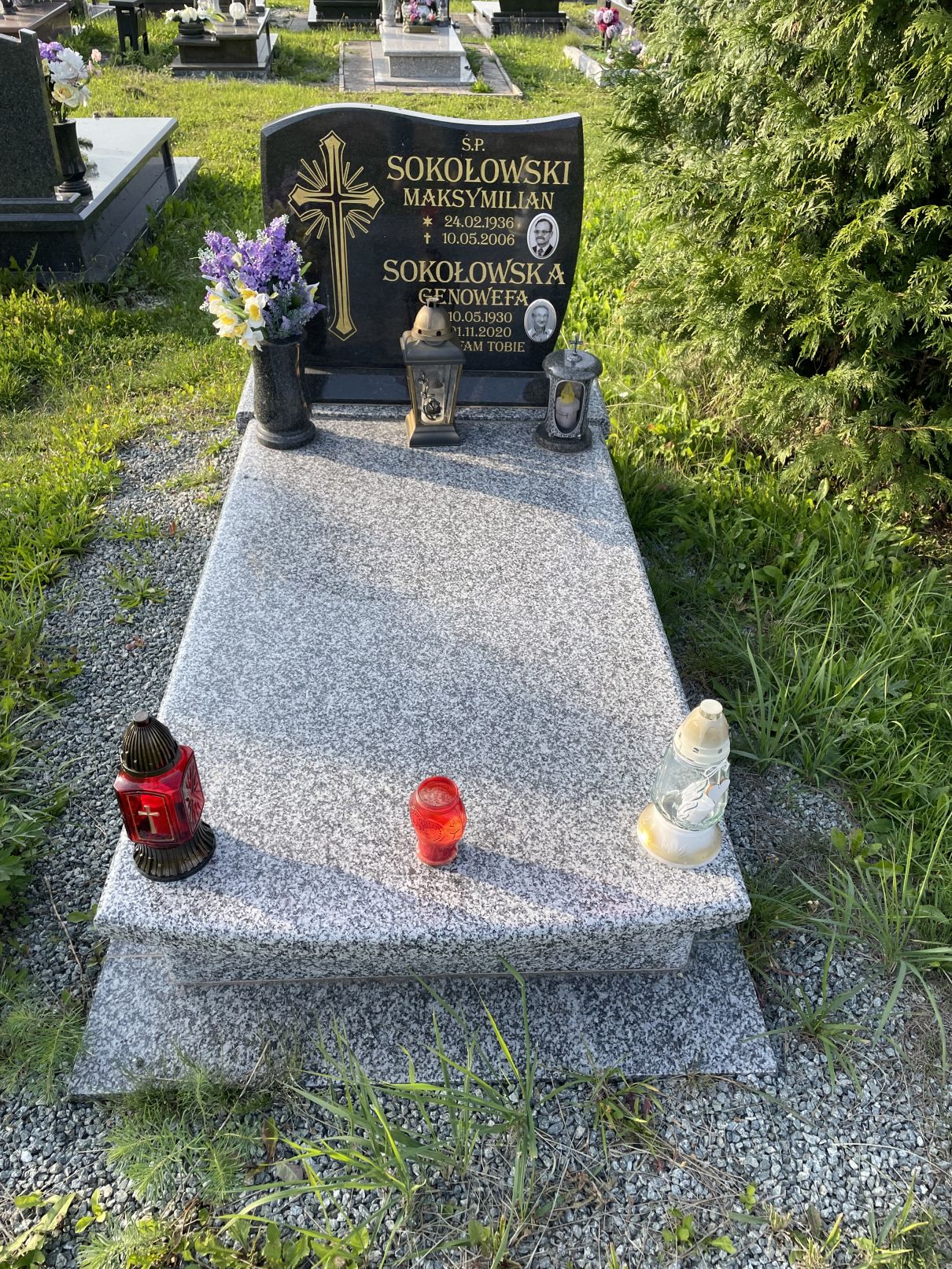 Alfred Sokołowski 1950 Nowa Ruda - Grobonet - Wyszukiwarka osób pochowanych