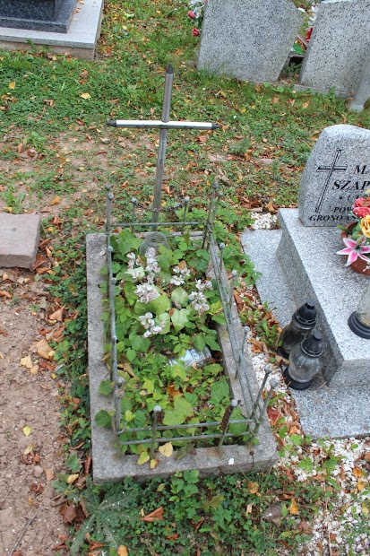 N N Nowa Ruda - Grobonet - Wyszukiwarka osób pochowanych